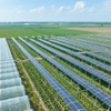 Zestawy panelu słonecznego systemu słonecznego systemu rolniczego dla PV System montażu mocy słonecznej farma energii słonecznej